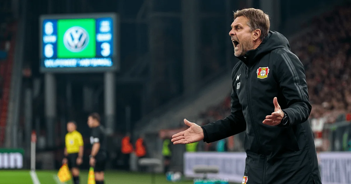Wolfsburg-Debakel: Hecking rechnet mit Schiedsrichter Petersen ab!