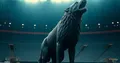 Wolves sestoupili: Co se pokazilo & Co dál