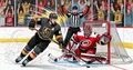 Russians lost goals in the NHL final due to controversial referee decisions
